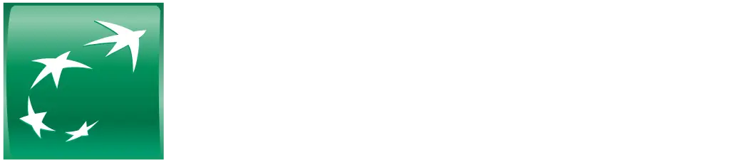 BNP Logo Kopie